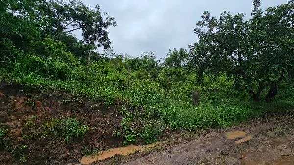 Terreno - Lagoa do Carro - Desocupado — foto 2