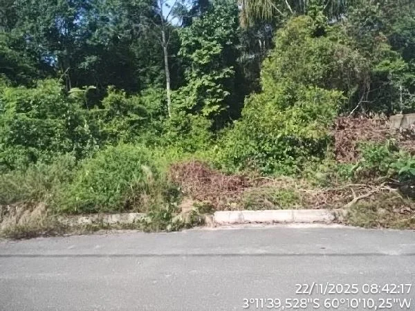Terreno - Manaus - Desocupado — foto 2