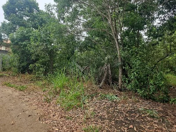Terreno - Vila Velha - Desocupado — foto 2