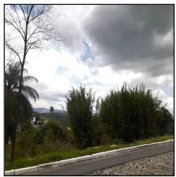 Terreno - Ibirite - Desocupado — foto 2