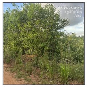Terreno - Carpina - Desocupado — foto 2