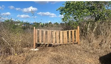 Terreno - Carpina - Desocupado — foto 3