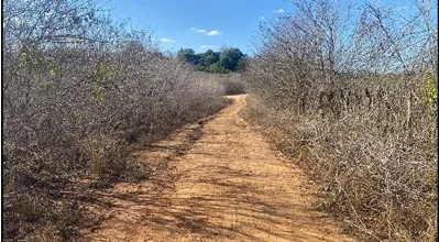 Terreno - Carpina - Desocupado — foto 4