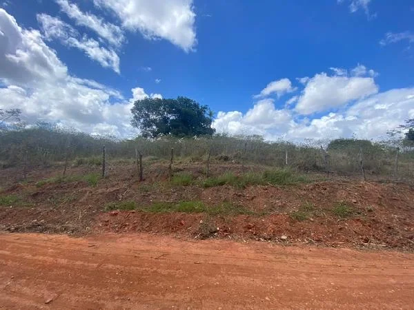 Terreno - Carpina - Ocupado — foto 2