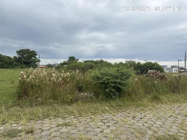 Terreno - Tubarao - Desocupado — foto 2