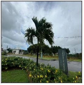 Terreno - Barra dos Coqueiros - Ocupado — foto 2