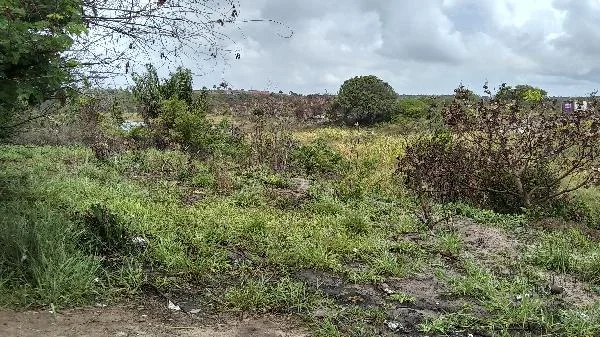 Terreno - Camacari - Ocupado — foto 2