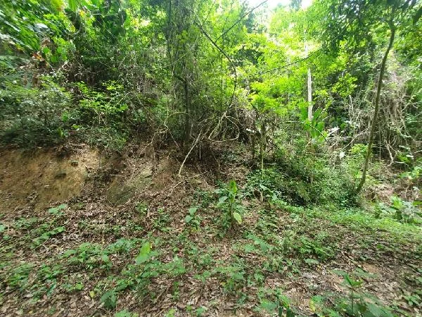 Terreno - Niteroi - Desocupado — foto 2