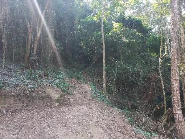 Terreno - Niteroi - Desocupado — foto 2