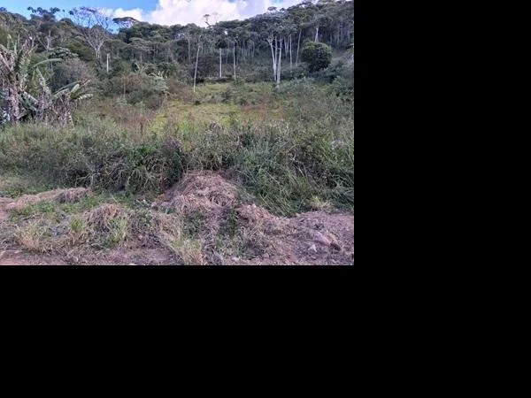 Terreno - Teresopolis - Desocupado — foto 2
