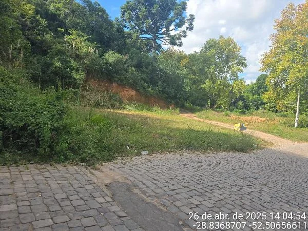 Terreno - Soledade - Desocupado — foto 2