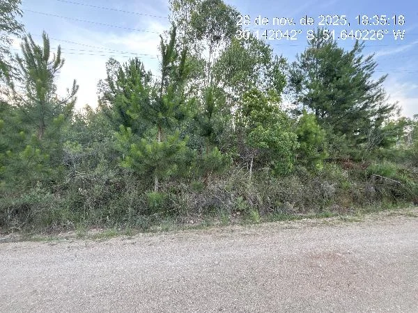 Terreno - Eldorado do Sul - Desocupado — foto 2