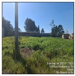 Terreno - Osorio - Desocupado — foto 2