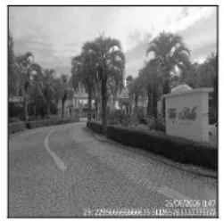 Terreno - Caxias do Sul - Ocupado — foto 2