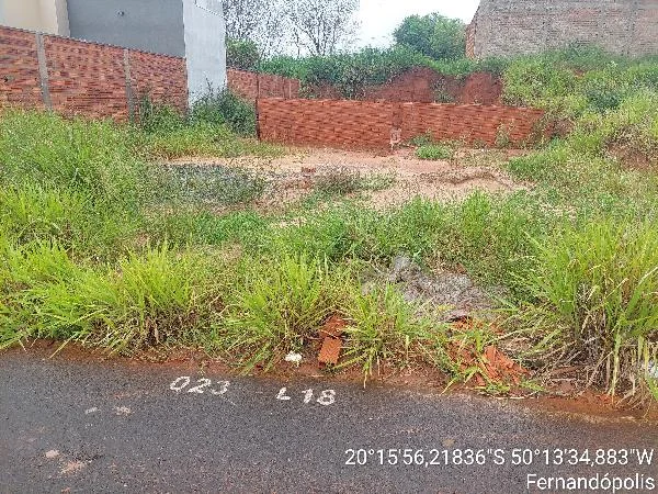 Terreno - Fernandopolis - Desocupado — foto 2