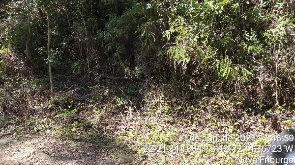 Terreno - Nova Friburgo - Desocupado — foto 2