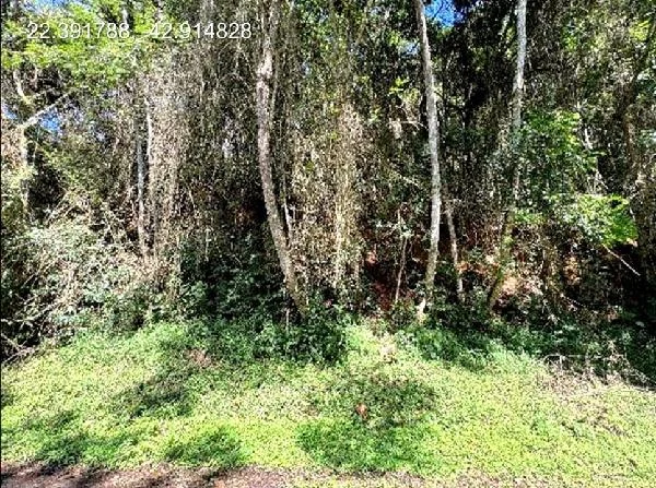 Terreno - Teresópolis - Desocupado — foto 2
