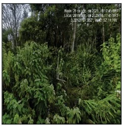Terreno - Nova Friburgo - Não Informado. — foto 2
