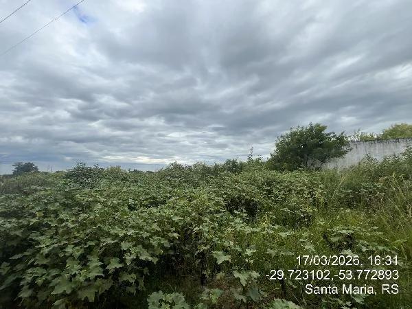Terreno - Santa Maria - Ocupado — foto 2