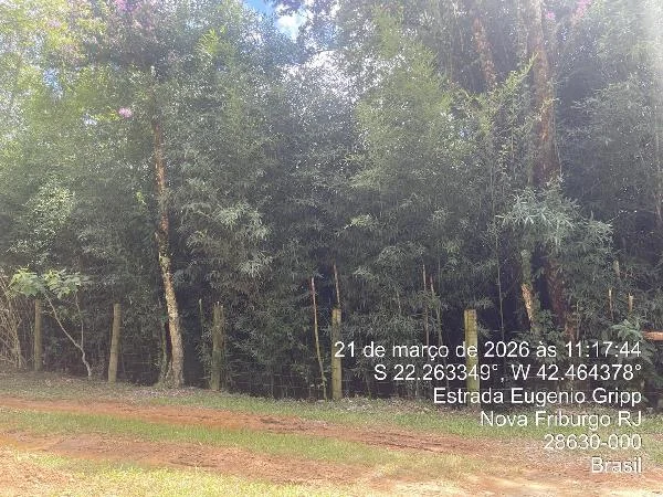 Terreno - Nova Friburgo - Ocupado — foto 2