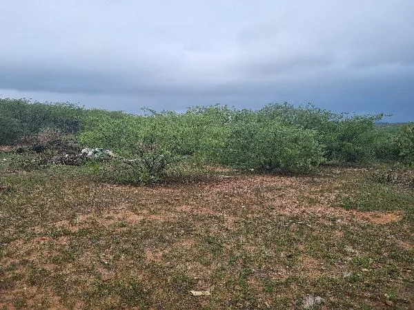 Terreno - Sao Vicente - Ocupado — foto 2