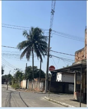 Casa - 2 Quartos - Itaguai - Ocupado — foto 4