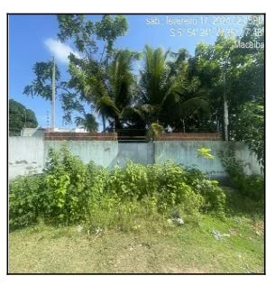 Casa - 2 Quartos - Macaiba - Desocupado — foto 2