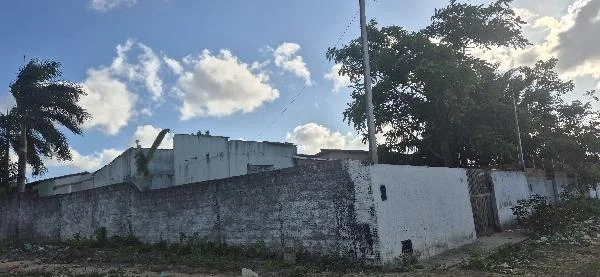 Casa - 2 Quartos - Macaiba - Ocupado — foto 2