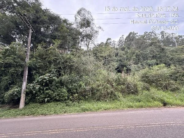 Terreno - Herval D'oeste - Ocupado — foto 2
