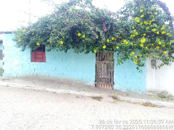 Casa - 2 Quartos - Cha de Alegria - Ocupado — foto 2