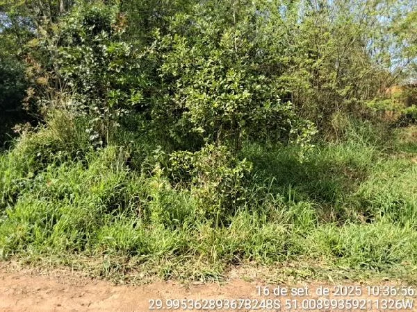 Terreno - Alvorada - Ocupado — foto 2