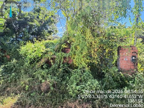 Casa - 2 Quartos - Demerval Lobao - Desocupado — foto 2