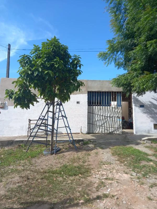 Casa - 2 Quartos - Extremoz - Ocupado — foto 2