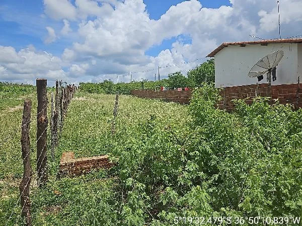 Terreno - Carnaubais - Desocupado — foto 2