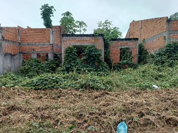 Terreno - Maraba - Desocupado — foto 2