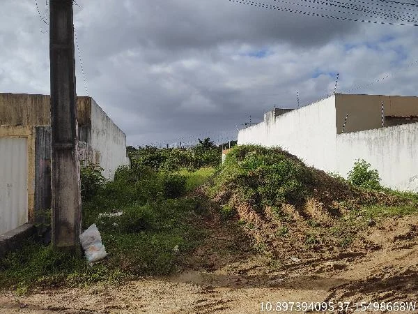 Terreno - Nossa Senhora do Socorro - Desocupado — foto 2