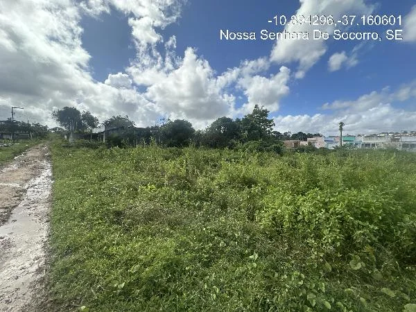 Terreno - Nossa Senhora do Socorro - Desocupado — foto 2
