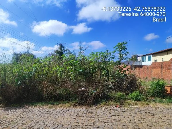 Casa - 3 Quartos - Teresina — foto 2