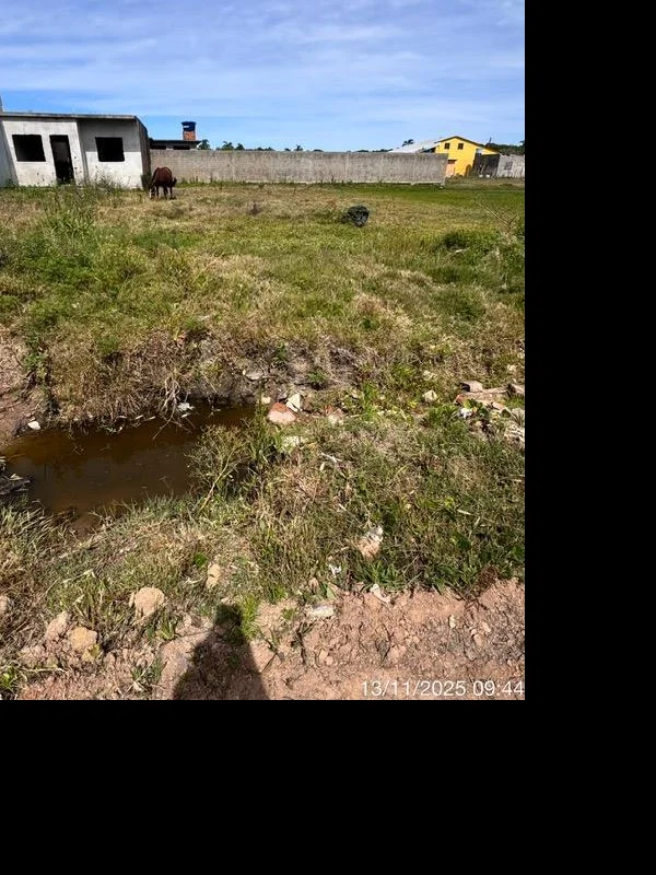 Terreno - Pelotas - Desocupado — foto 2