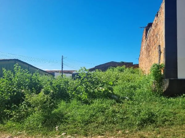 Terreno - Nossa Senhora do Socorro - Ocupado — foto 2