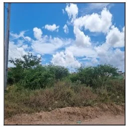Terreno - Nossa Senhora do Socorro - Não Informado. — foto 2