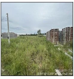 Terreno - Pelotas - Desocupado — foto 2
