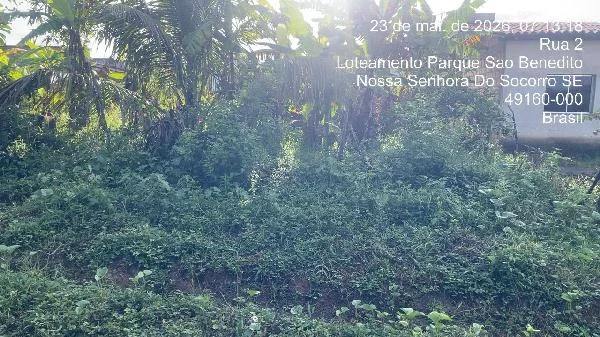 Terreno - Nossa Senhora do Socorro - Ocupado — foto 2