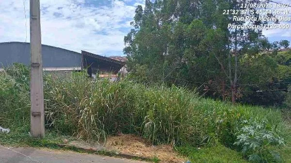 Terreno - Paraguacu - Desocupado — foto 2
