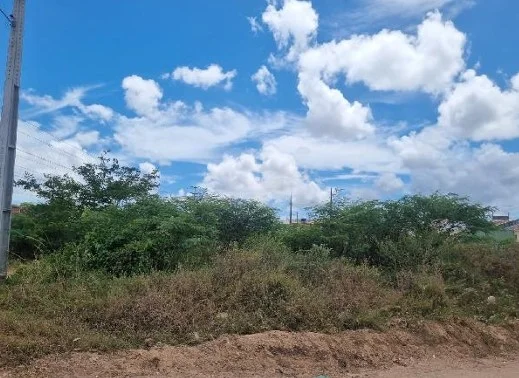 Terreno - Nossa Senhora do Socorro - Desocupado — foto 2