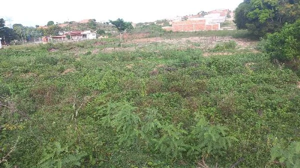 Terreno - Nossa Senhora do Socorro - Ocupado — foto 2