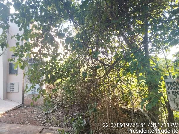 Terreno - Presidente Prudente - Desocupado — foto 2
