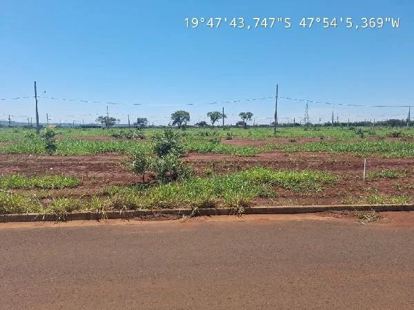 Terreno - Uberaba - Desocupado — foto 2