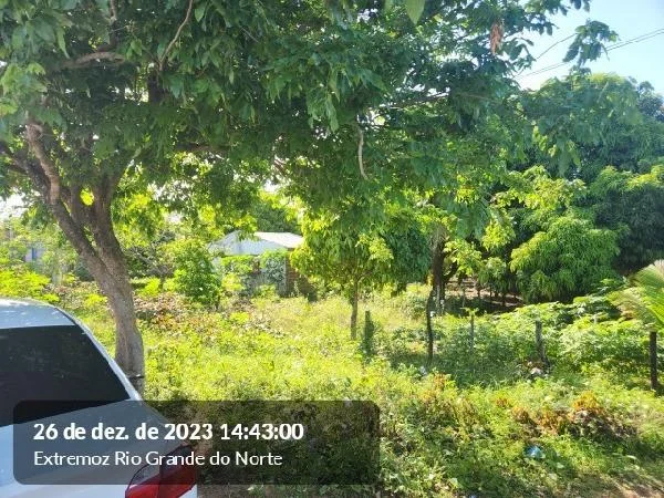 Casa - 2 Quartos - Extremoz - Ocupado — foto 2