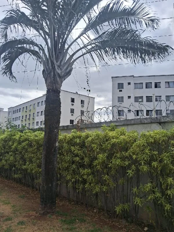 Apartamento - 2 Quartos - Rio de Janeiro - Ocupado — foto 2